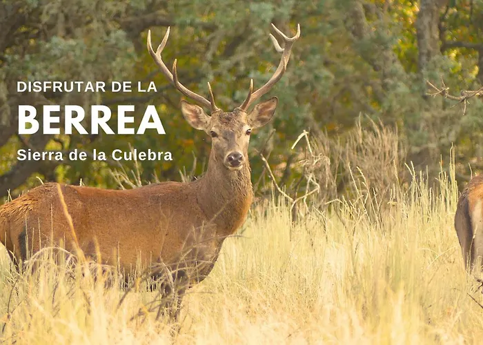 Geijos Casa de Campo *